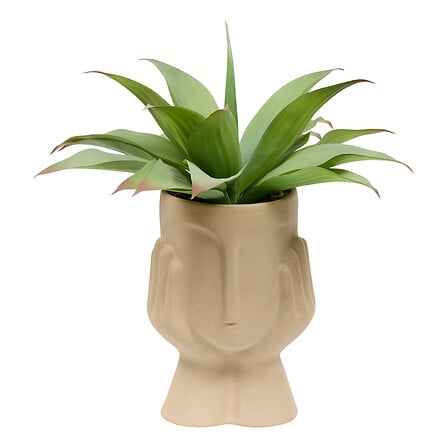 Изкуствено растение atmosphera Sien Agava, 48 cm, Керамика