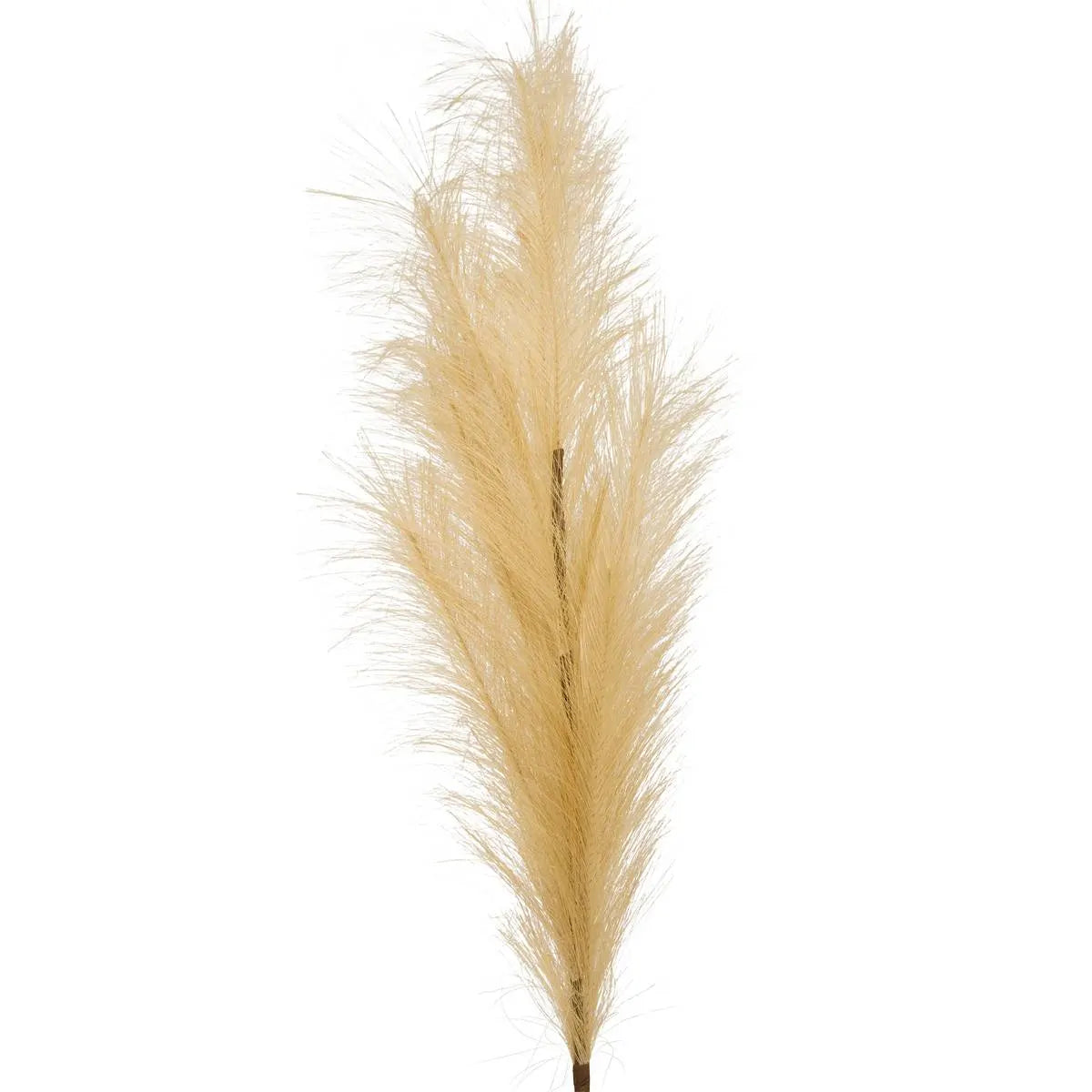Клон пампас изкуствен atmosphera Adna, Бежов, 90 cm