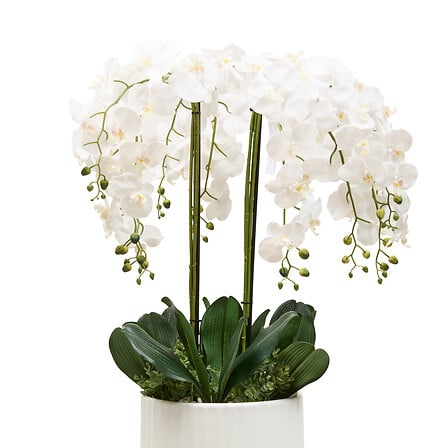 Изкуствено растение atmosphera Orchid Hotel, 115 cm, Керамика