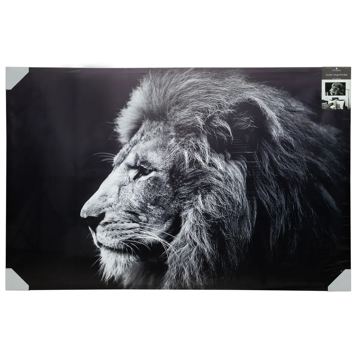 Картина atmosphera Lion, Принт на платно 78x118 см