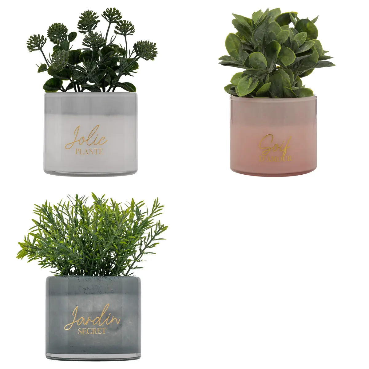 atmosphera Tayli Succulent műnövény, 18 cm, vegyes változatok