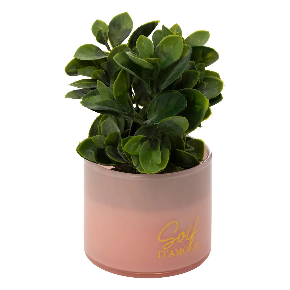 atmosphera Tayli Succulent műnövény, 18 cm, vegyes változatok