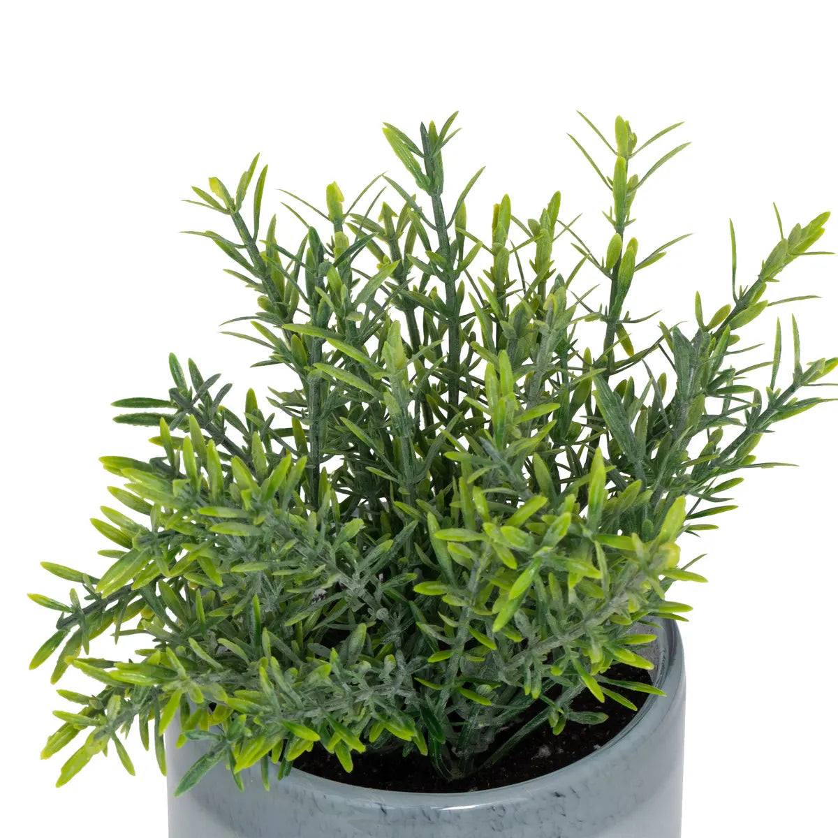 atmosphera Tayli Succulent műnövény, 18 cm, vegyes változatok