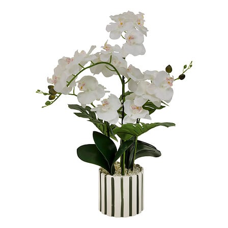 Изкуствено растение atmosphera Orchid Asia, 62 cm, Керамика
