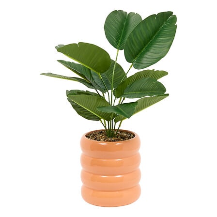 Изкуствено растение atmosphera Poolside Strelitzia , 45 cm, Керамика, Асорти
