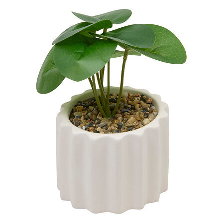 Изкуствено растение atmosphera Flow, 16 cm, Различни видове