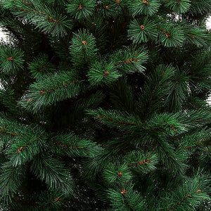 Windy Peak tree height 400 cm green