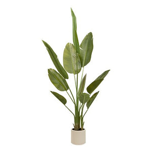 Műnövény Atmosphera Lora Banana, 200 cm