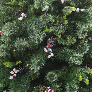 Wyoming tree height 400 cm green