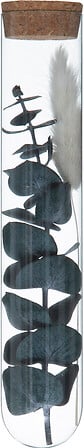 Декоративни цветя atmosphera House, 17 cm