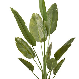 Műnövény Atmosphera Lora Banana, 200 cm