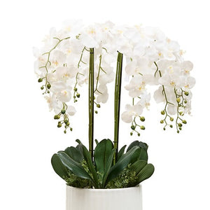 Изкуствено растение atmosphera Orchid Hotel, 115 cm, Керамика