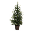 Potted Helsinki tree 100 cm