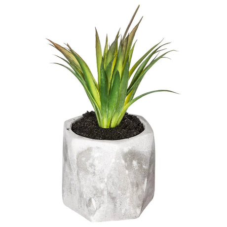 Изкуствено растение atmosphera Succulent, 14 cm, Различни видове