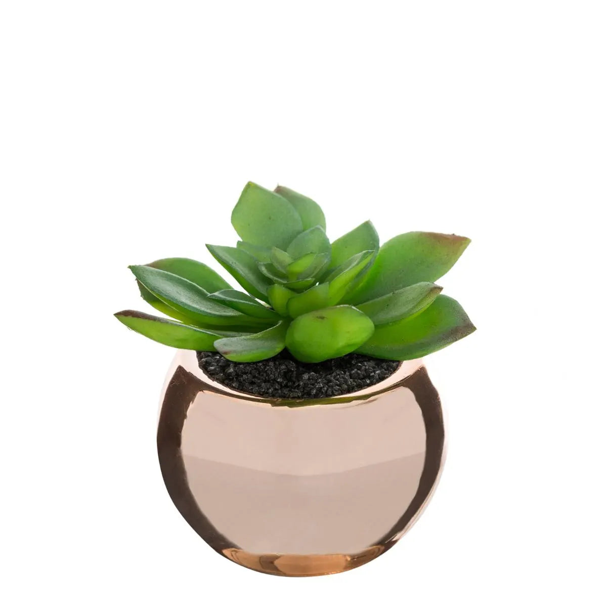 atmosphera műnövény, 15 cm, vegyes változatok