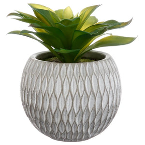 Изкуствено растение atmosphera Succulent, 17 cm, Различни видове