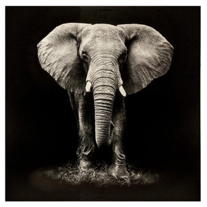 Falikép Atmosphera Elephant, vászonnyomat 100x100 cm