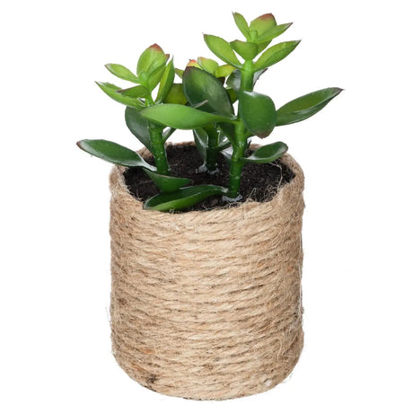 Изкуствено растение atmosphera, 16 cm, Различни видове