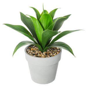 atmosphera Aloe Vera műnövény, 34 cm