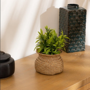 atmosphera Jiling műnövény, 20 cm