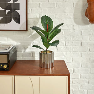 atmosphera Ficus Sky műnövény, 54 cm