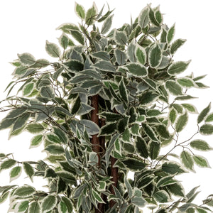 Изкуствено растение atmosphera Fig Tree, 180 cm, Двуцветно