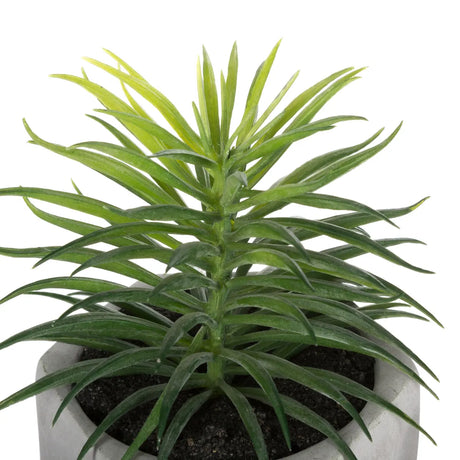Изкуствено растение atmosphera Succulent, 14 cm, Различни видове
