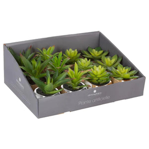 atmosphera műnövény, 15 cm, vegyes változatok