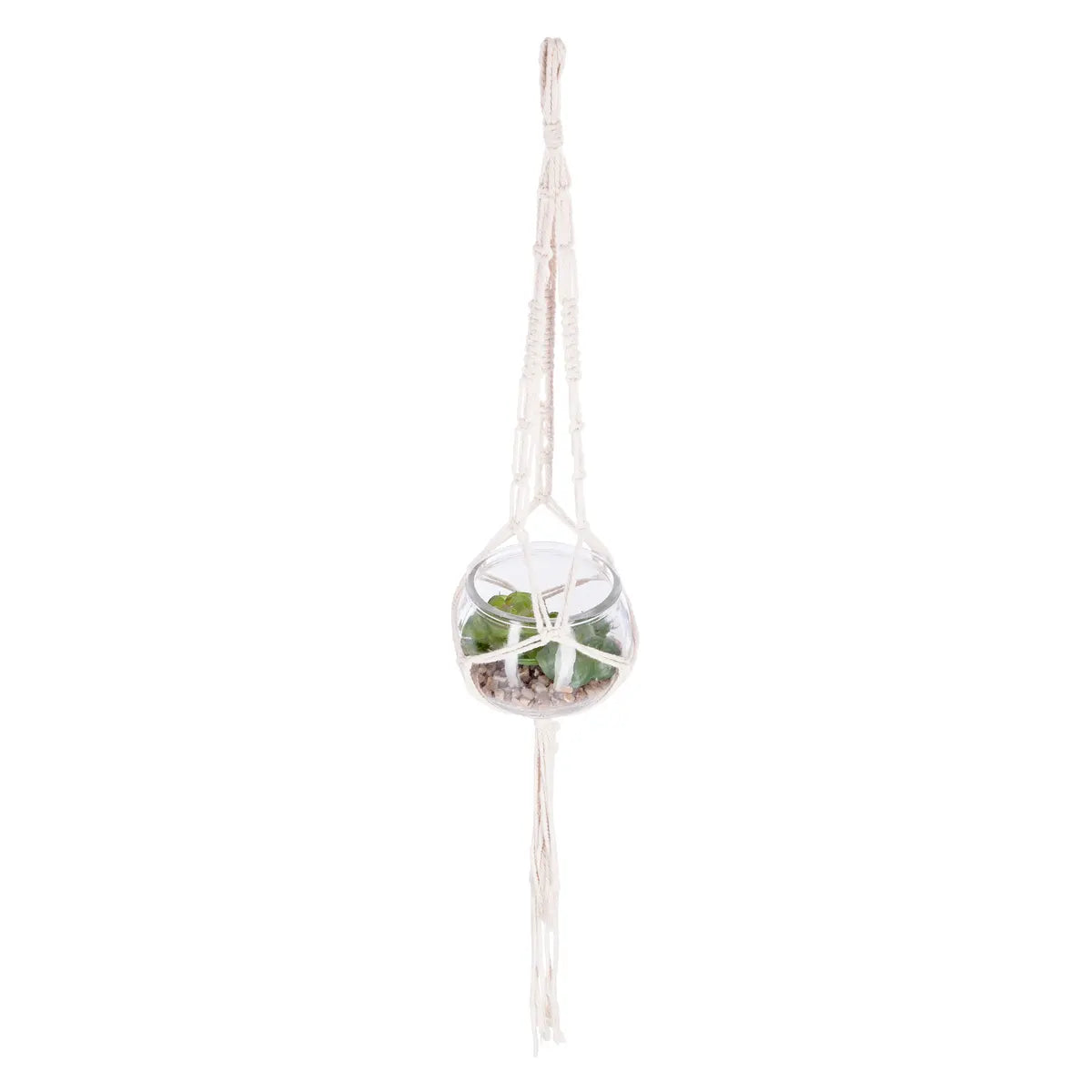 atmosphera Nomade műnövény, 10 cm