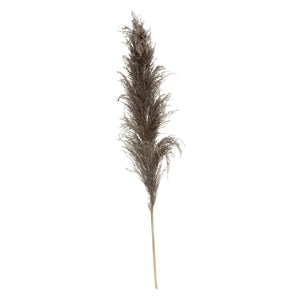 Изкуствено растение atmosphera Natural Pampa, 110см, 3бр, Кафяв