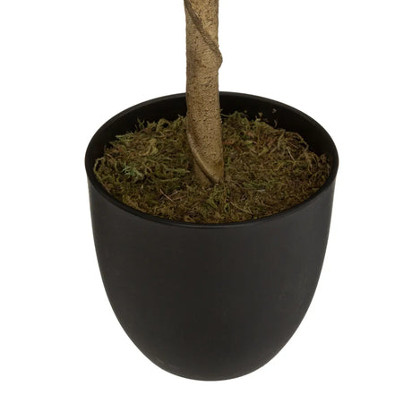 Изкуствено растение atmosphera Lemon Tree, 70 cm