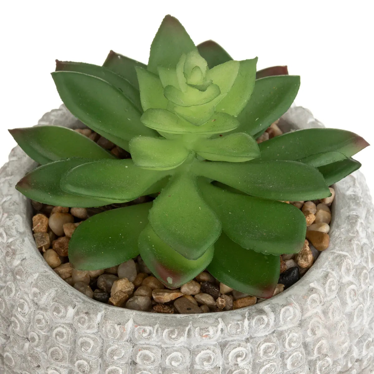 Изкуствено растение atmosphera Buddha, 13.5 cm, Различни видове