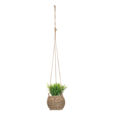 Изкуствено растение atmosphera Zoе, 17 cm, Различни видове