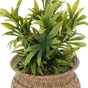 atmosphera Jiling műnövény, 20 cm