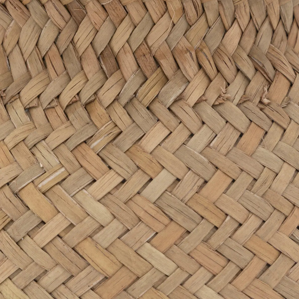 atmosphera Jiling műnövény, 20 cm