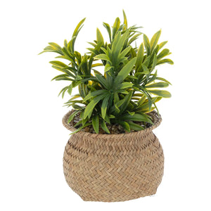 atmosphera Jiling műnövény, 20 cm