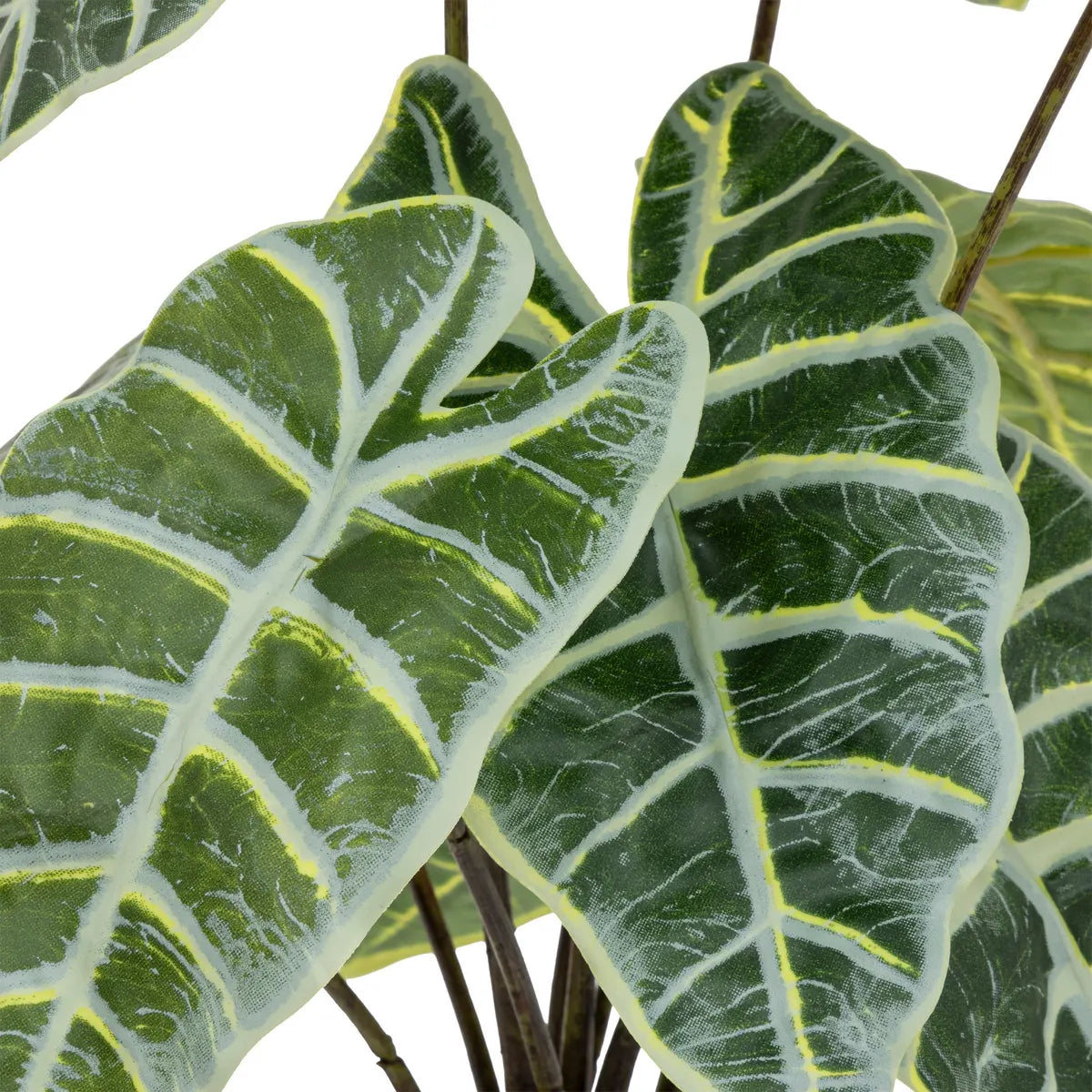 atmosphera Soleya Alocasia műnövény, 43 cm