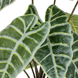 atmosphera Soleya Alocasia műnövény, 43 cm