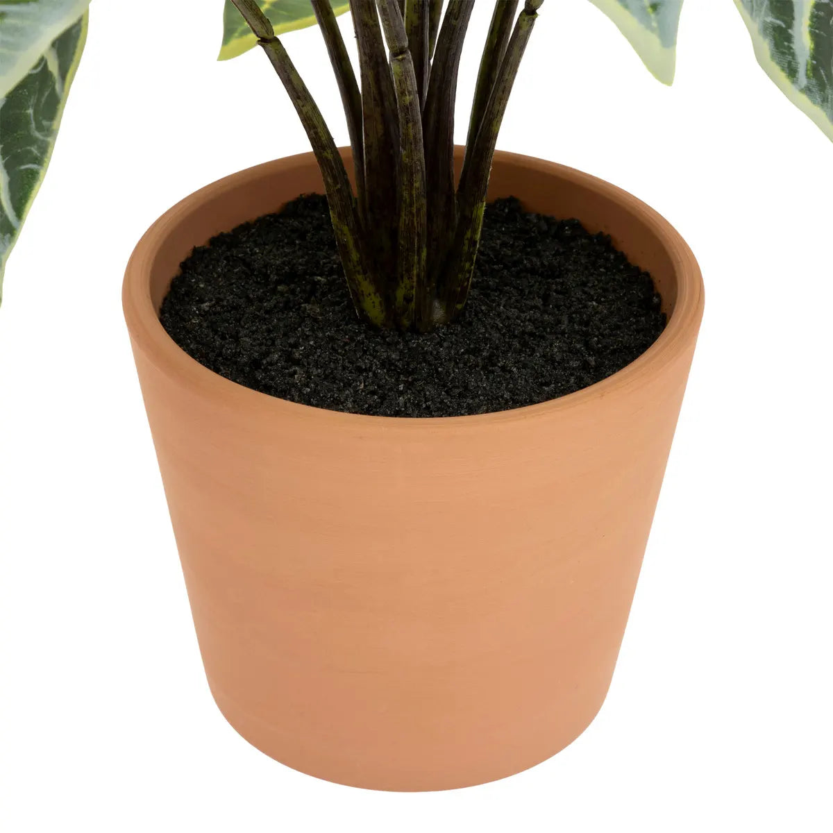 atmosphera Soleya Alocasia műnövény, 43 cm