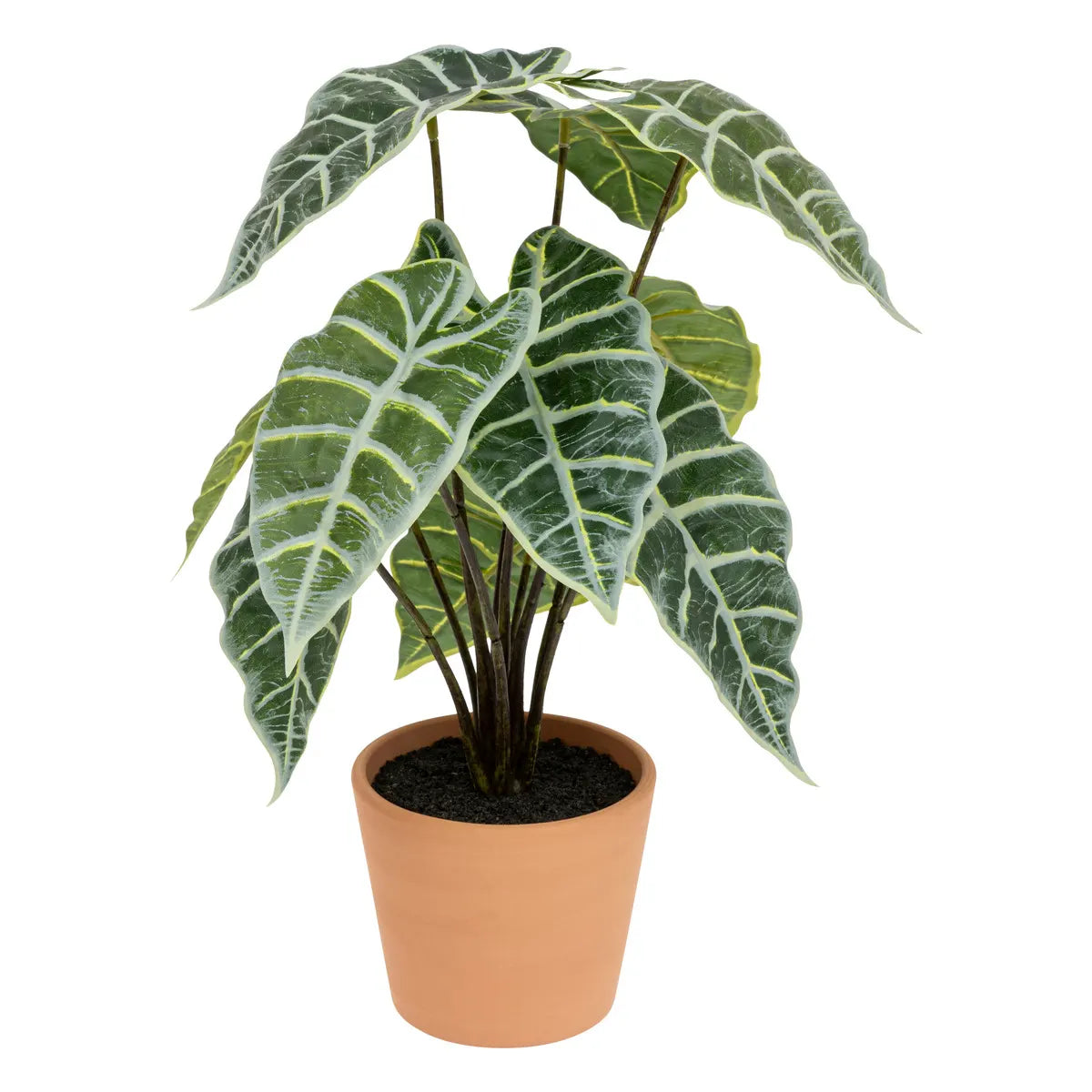 atmosphera Soleya Alocasia műnövény, 43 cm