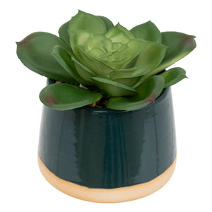 atmosphera Be Vintage műnövény, 12 cm, vegyes változatok