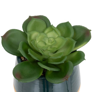 atmosphera Be Vintage műnövény, 12 cm, vegyes változatok