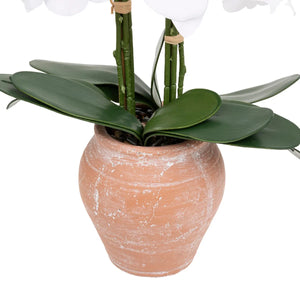 Изкуствено цвете atmosphera Dena Orchid, 65 cm