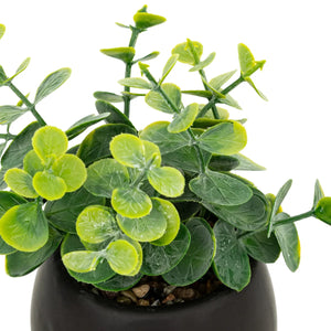 Изкуствено растение atmosphera Livy, 17 cm, Различни видове