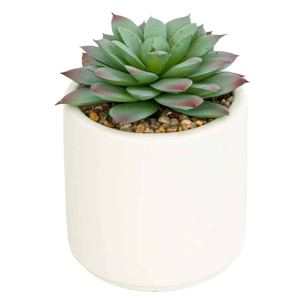 Изкуствено растение atmosphera Nils, 12 cm, Различни видове