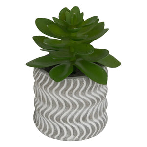 Изкуствено растение atmosphera Ubi Succulent, 7 cm, Различни видове