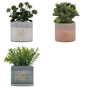 atmosphera Tayli Succulent műnövény, 18 cm, vegyes változatok