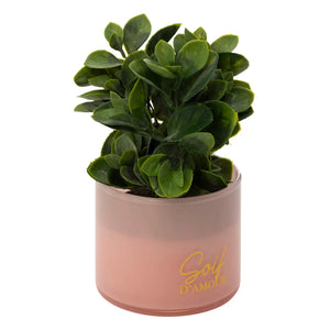 atmosphera Tayli Succulent műnövény, 18 cm, vegyes változatok