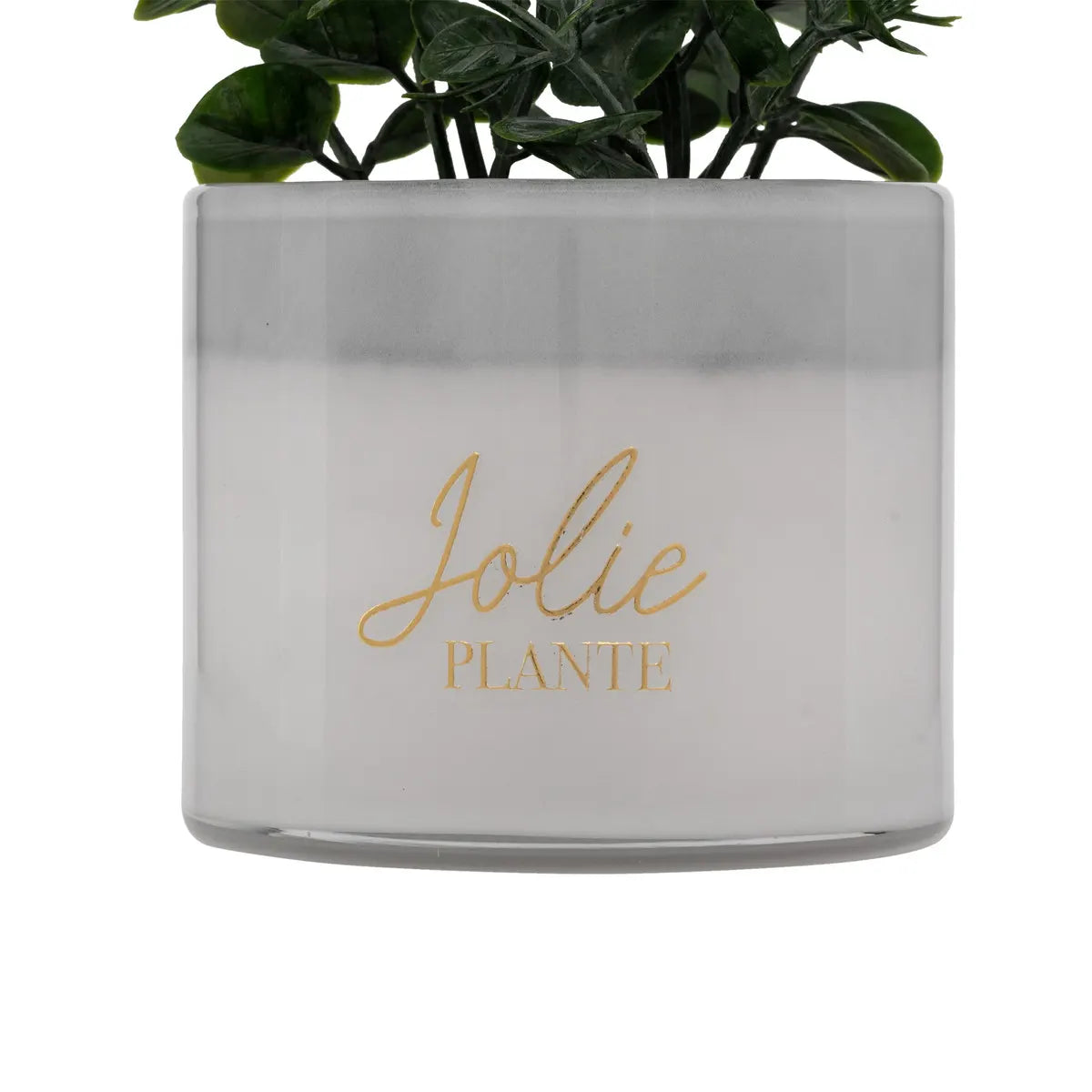atmosphera Tayli Succulent műnövény, 18 cm, vegyes változatok