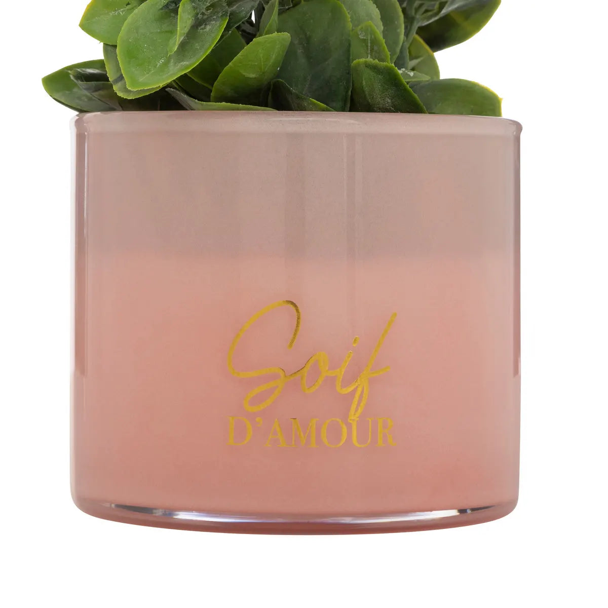 atmosphera Tayli Succulent műnövény, 18 cm, vegyes változatok